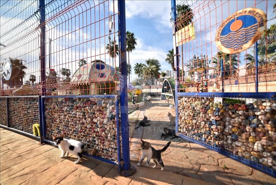 Kediler Miyav Park'ı sevdi