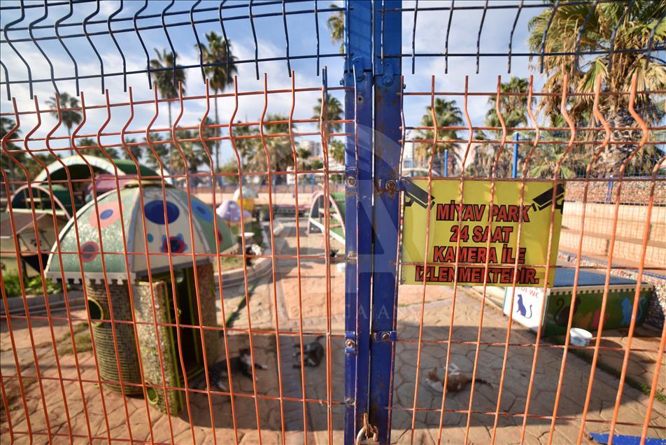 Kediler Miyav Park'ı sevdi