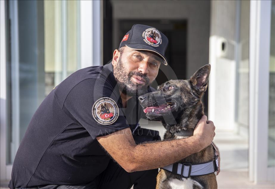 Polisin "sağ kolu" görev köpekleri
