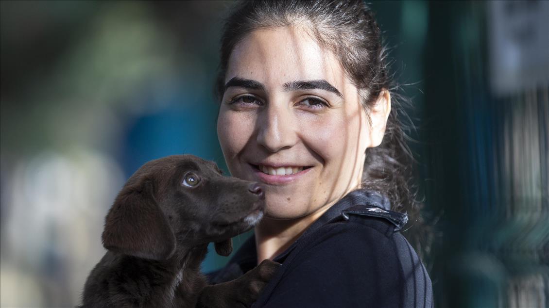 Polisin "sağ kolu" görev köpekleri