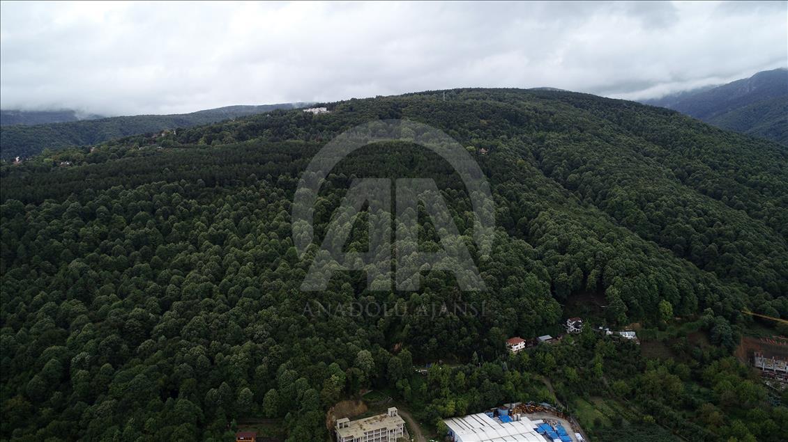Sapanca'nın doğal güzellikleri havadan da görülecek