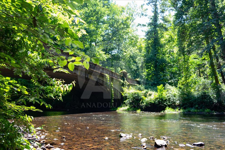 Un recorrido por el Natirar Park, en New Jersey
