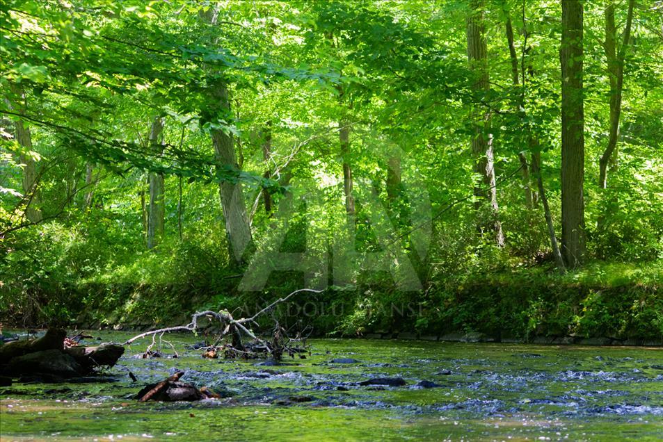 Un recorrido por el Natirar Park, en New Jersey