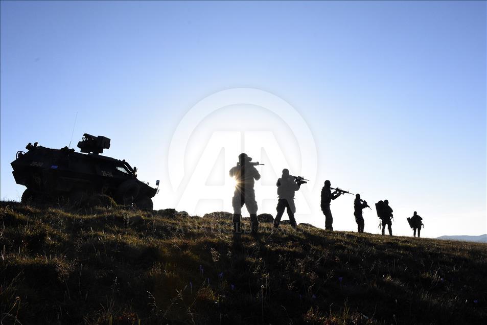 Спецназ МВД проводит успешные операции на севере Турции
