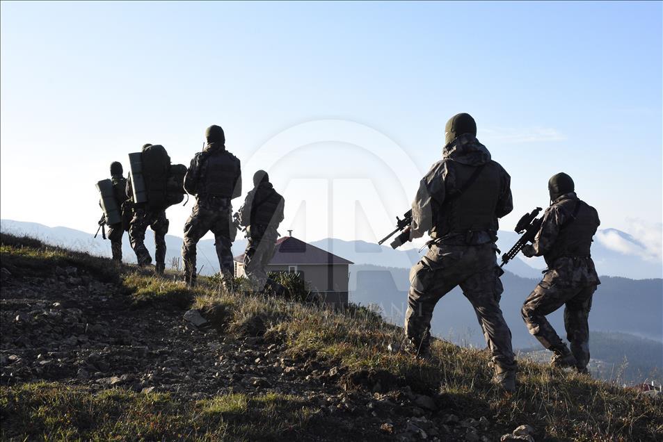 Спецназ МВД проводит успешные операции на севере Турции

