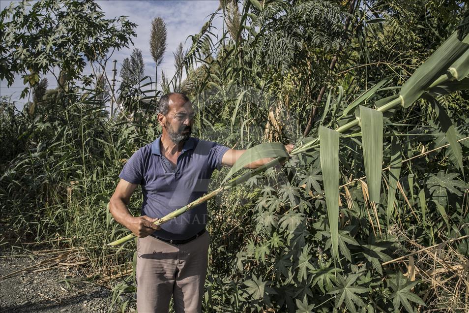 Así se fabrica el 'Ney', la flauta de Oriente Medio