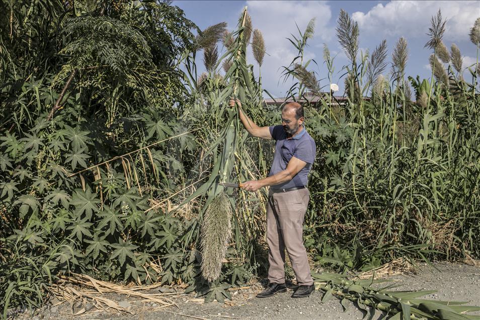 Así se fabrica el 'Ney', la flauta de Oriente Medio