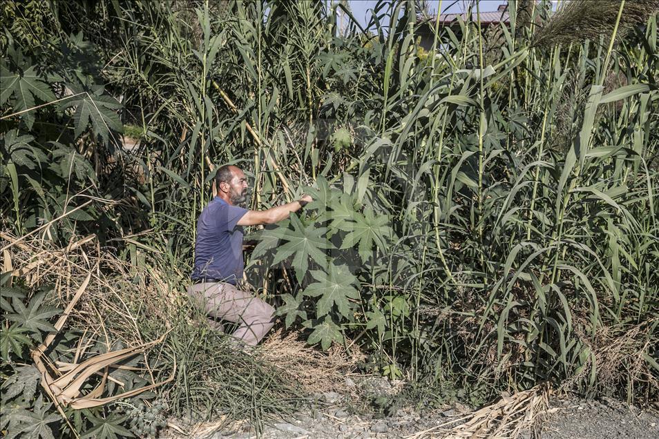 Así se fabrica el 'Ney', la flauta de Oriente Medio