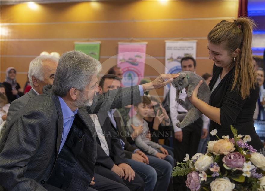 Başkentte "Kedi Güzellik Festivali" düzenlendi