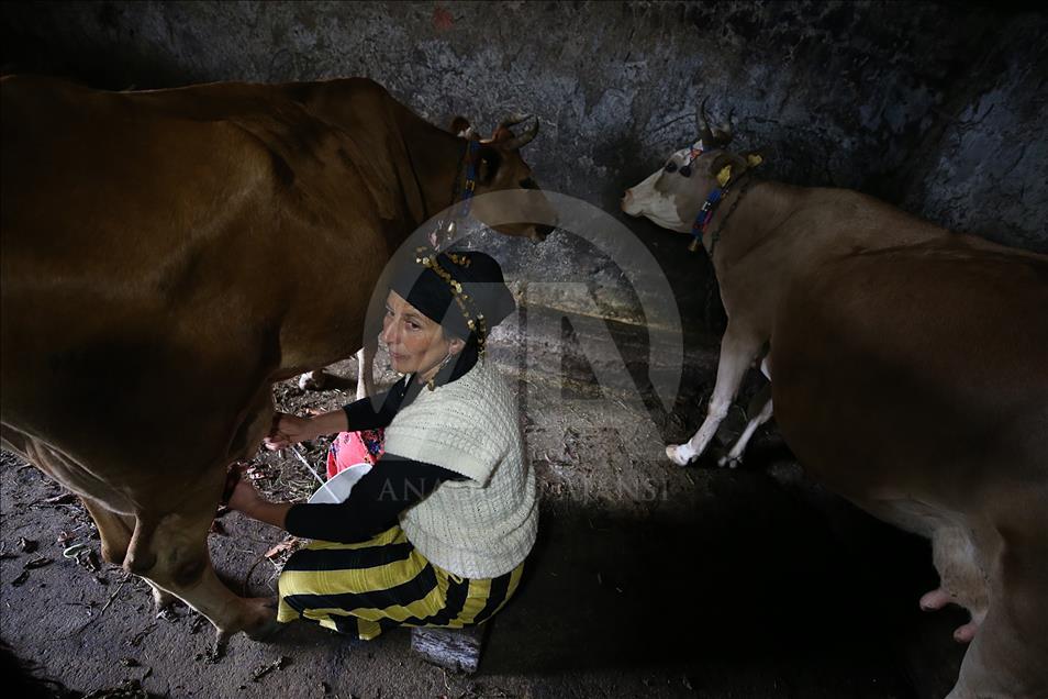 Karadenizli kadın çiftçinin yorucu mesaisi