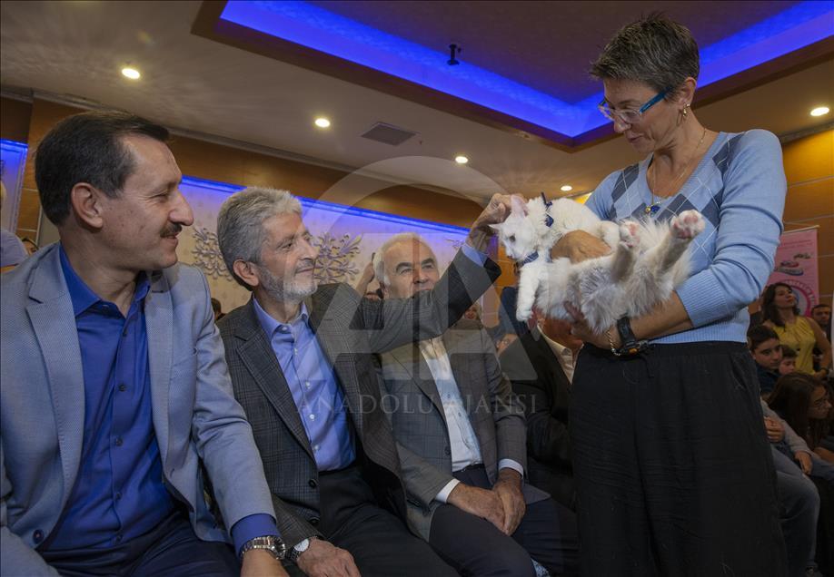 Başkentte "Kedi Güzellik Festivali" düzenlendi
