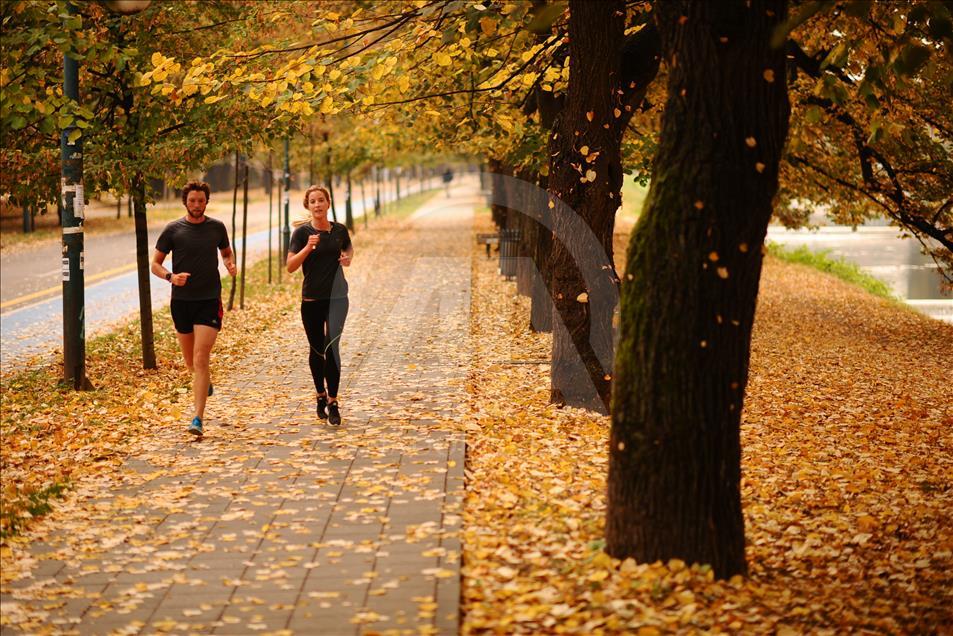Autumn in Sarajevo