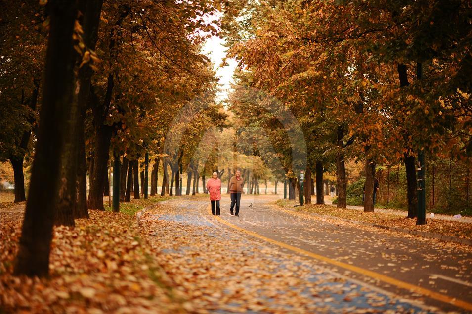 Autumn in Sarajevo