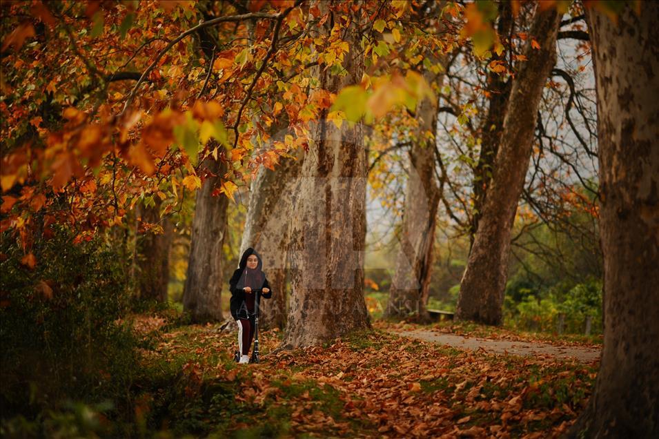 Autumn in Sarajevo