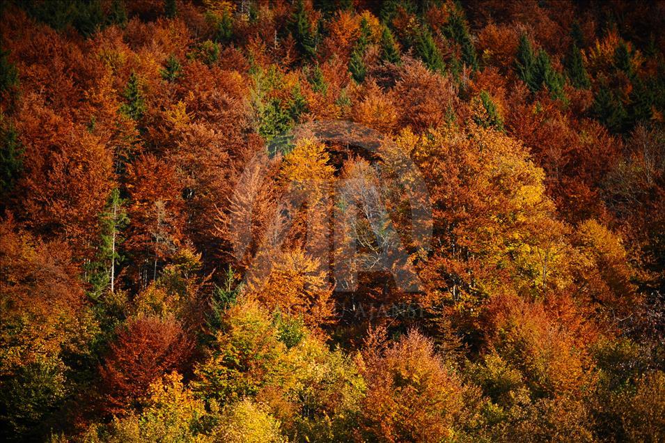 Autumn in Sarajevo