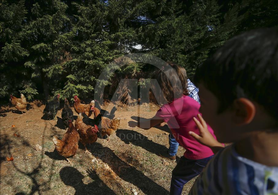 Anaokulunda çiftlik hayatı