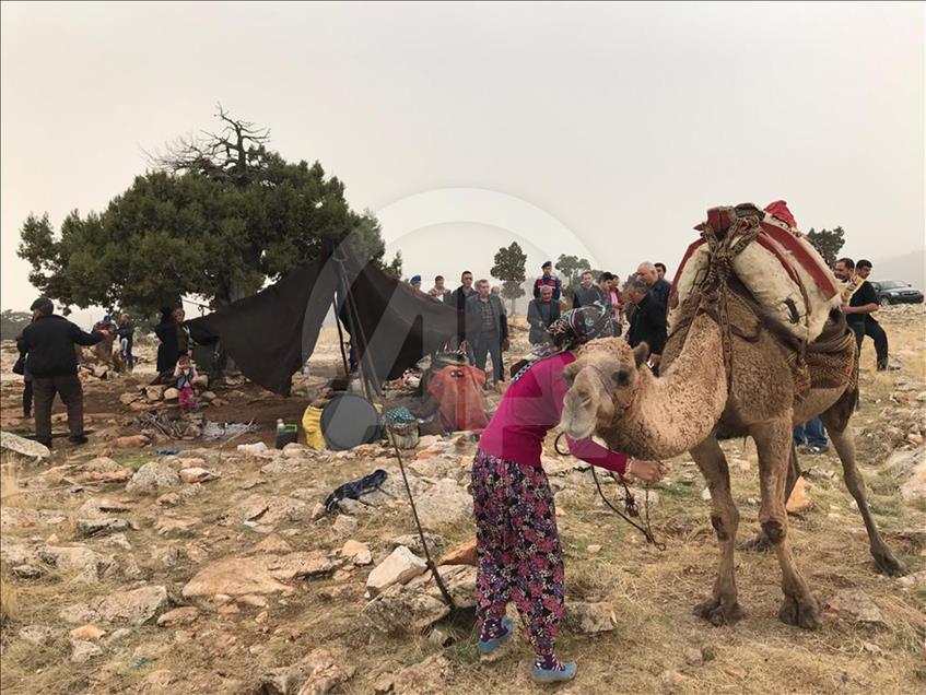 Sarıkeçili Yörükleri'nin tarihi yolculuğu başladı
