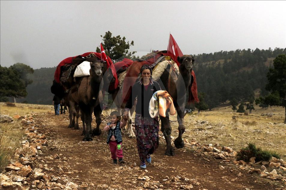 Sarıkeçili Yörükleri'nin tarihi yolculuğu başladı