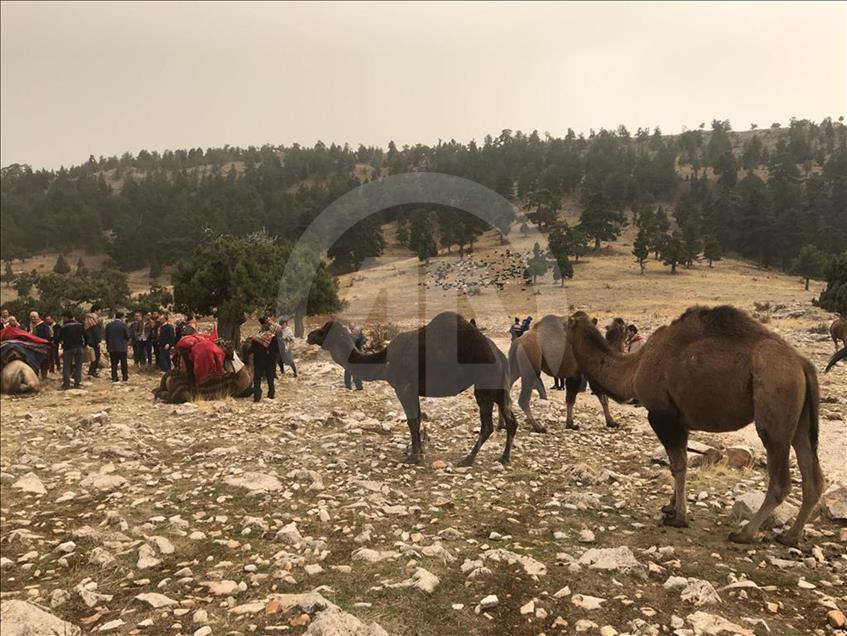 Sarıkeçili Yörükleri'nin tarihi yolculuğu başladı