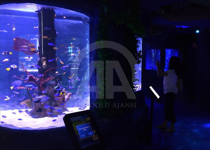 Mengenali satwa laut dari dalam mal Jakarta