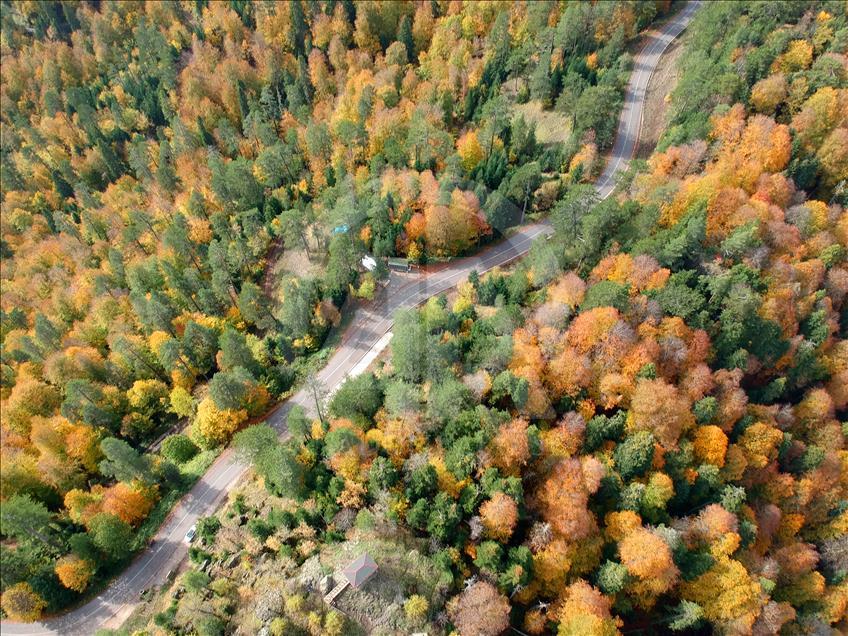 Autumn in Turkey's Bolu