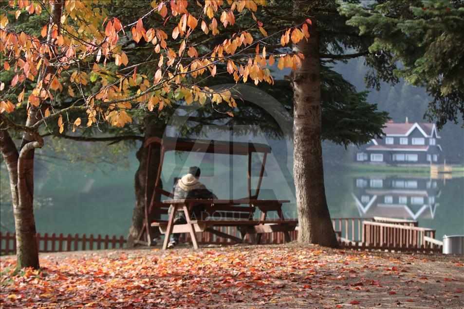Autumn in Turkey's Bolu