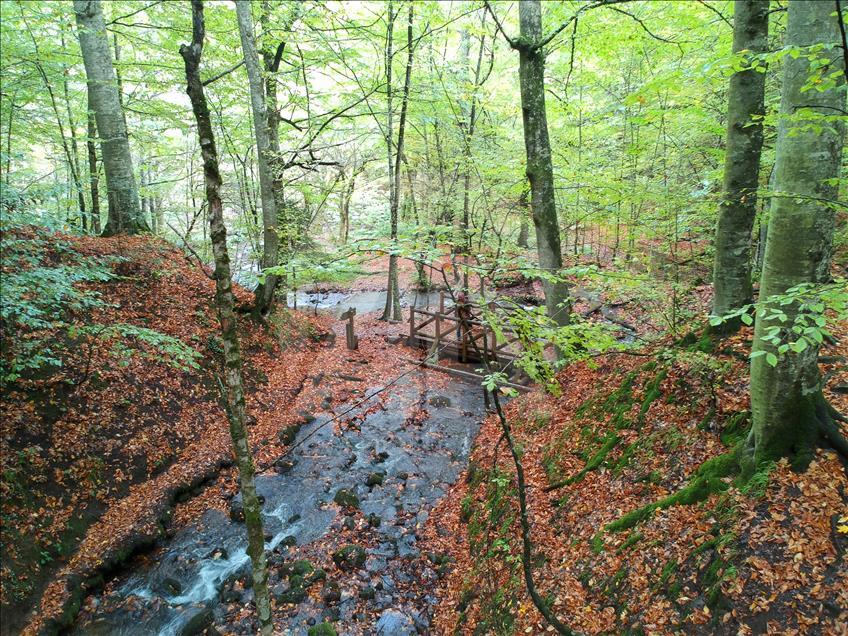 "Tabiatın kalbi" Bolu'da hedef 1,5 milyon ziyaretçi