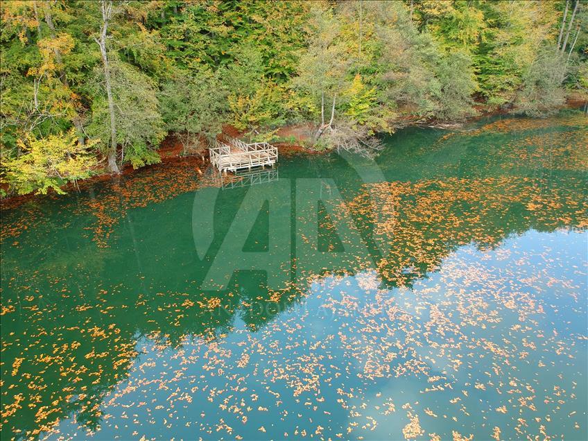 "Tabiatın kalbi" Bolu'da hedef 1,5 milyon ziyaretçi