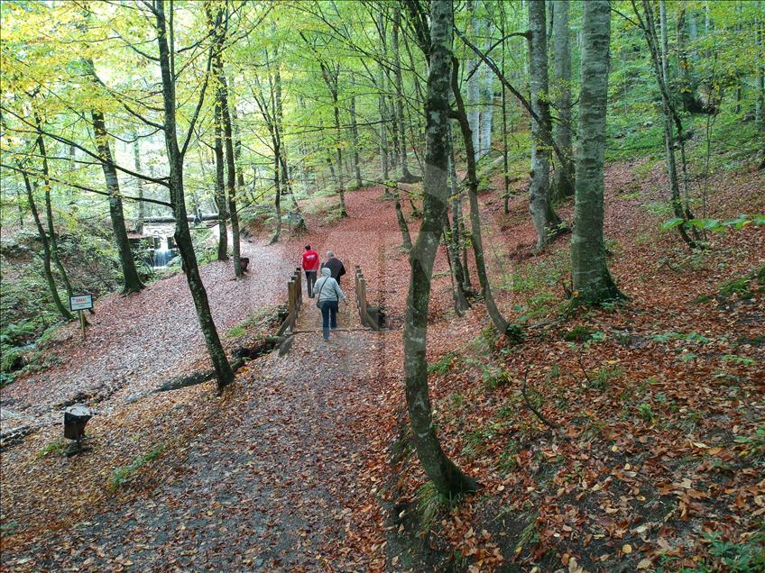 Autumn in Turkey's Bolu