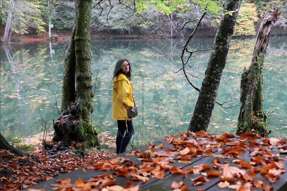 Autumn in Turkey's Bolu