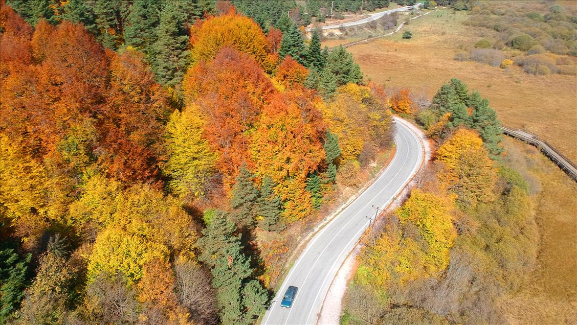 Autumn in Turkey's Bolu