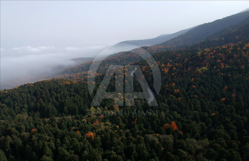 "Tabiatın kalbi" Bolu'da hedef 1,5 milyon ziyaretçi