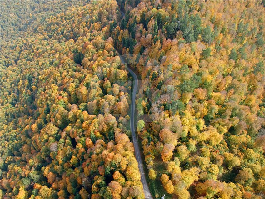Autumn in Turkey's Bolu