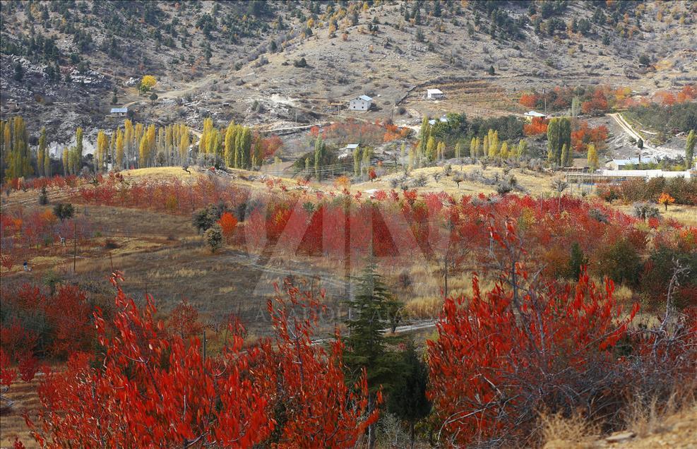 Autumn in Toros Mountains 