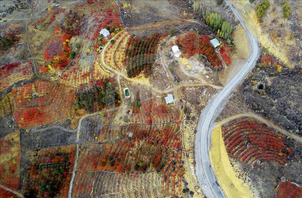 Autumn in Toros Mountains 