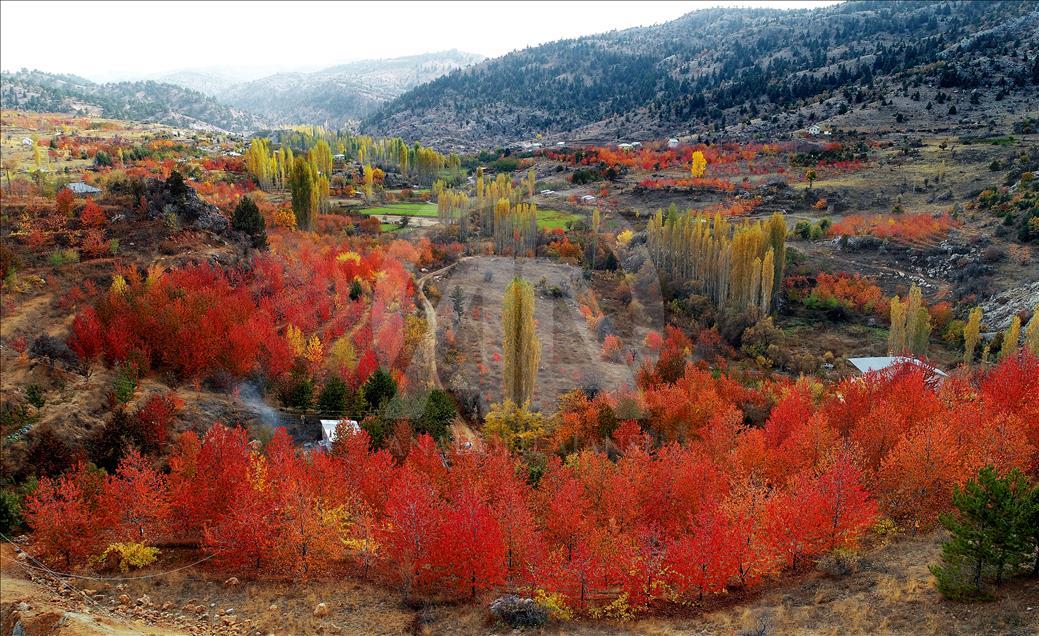 Autumn in Toros Mountains 