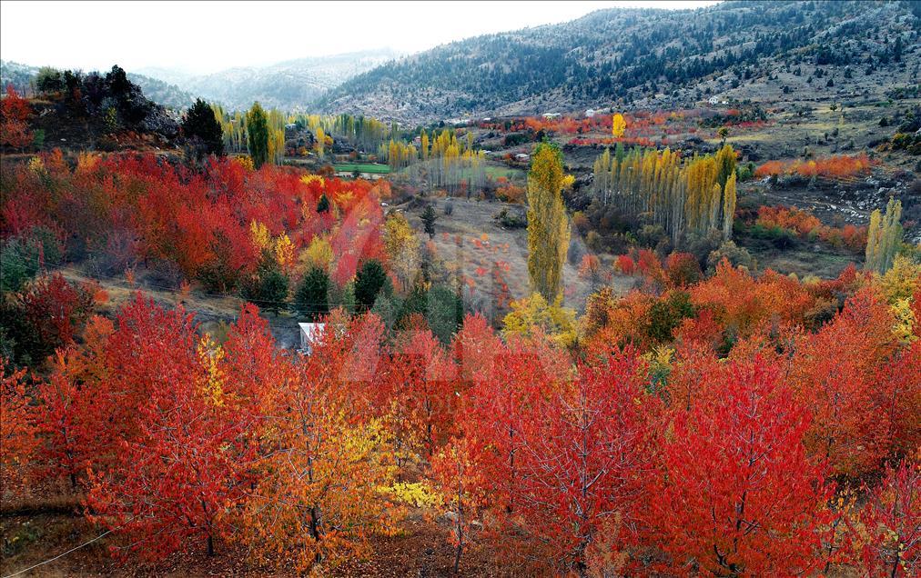 Autumn in Toros Mountains 