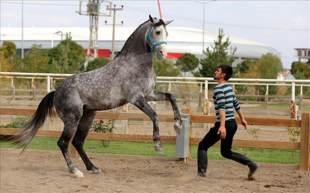 Cüneyt Arkın hayranlığı atlı akrobat yaptı