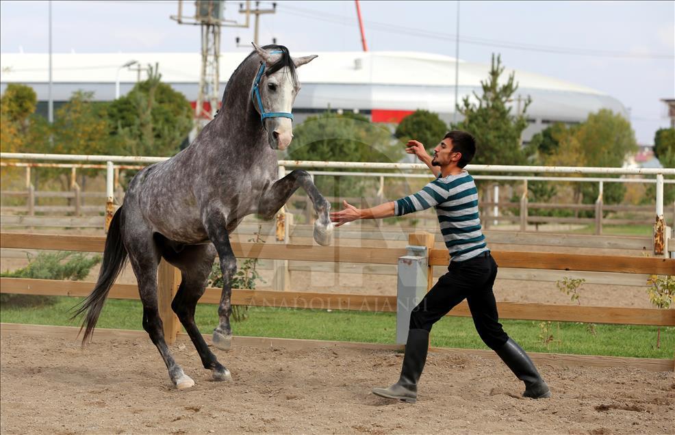 Cüneyt Arkın hayranlığı atlı akrobat yaptı