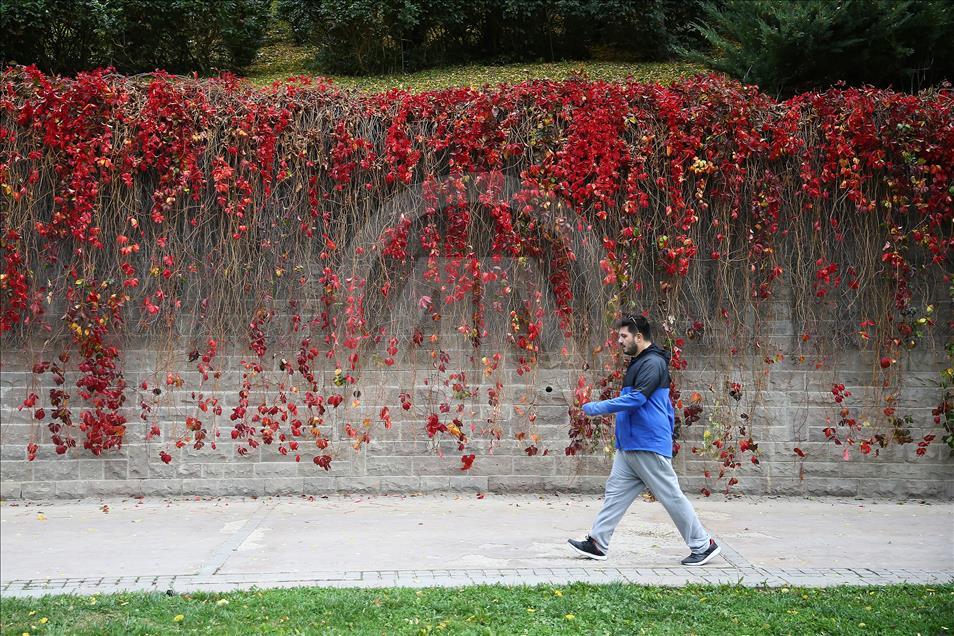 Ankara'da sonbahar