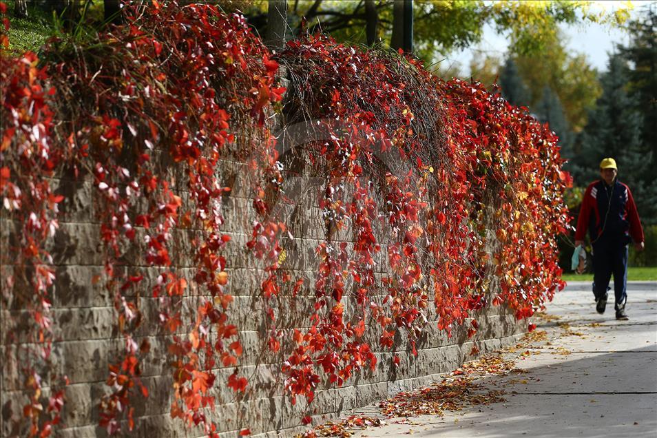 Ankara'da sonbahar