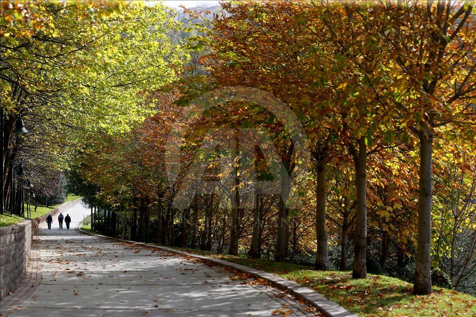 Ankara'da sonbahar