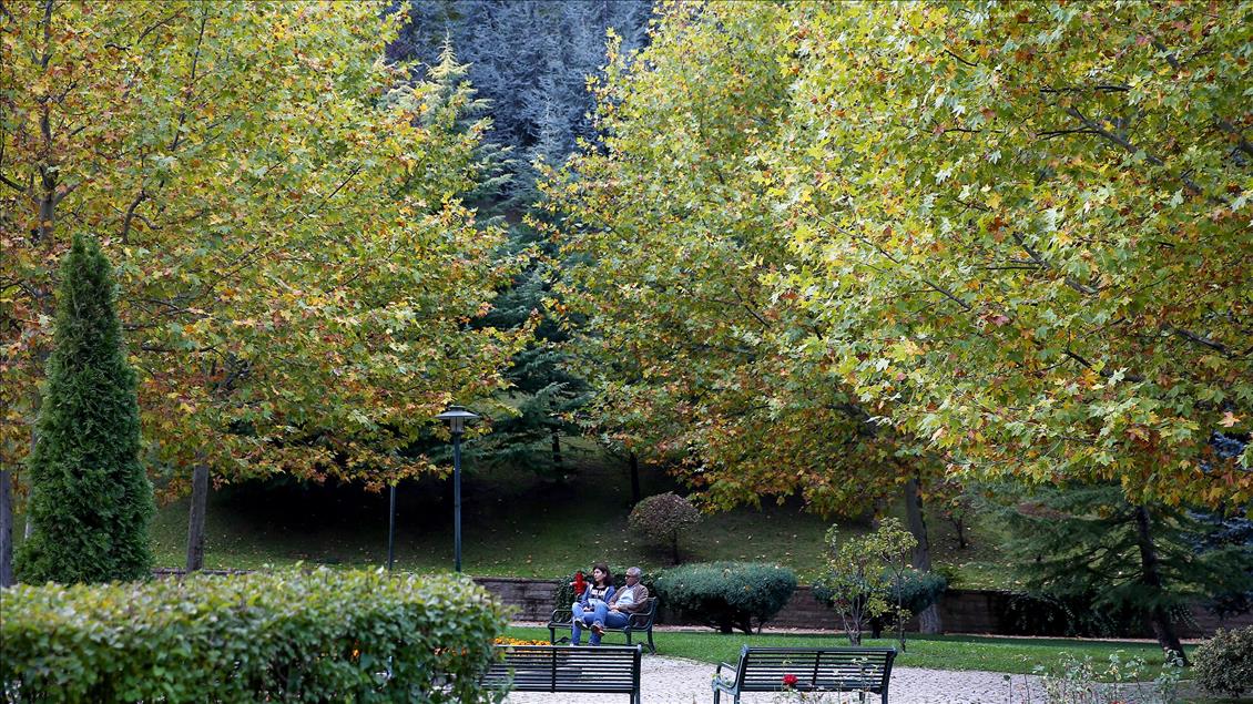 Ankara'da sonbahar