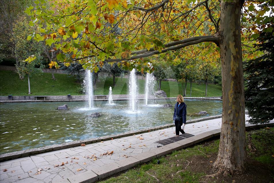 Ankara'da sonbahar