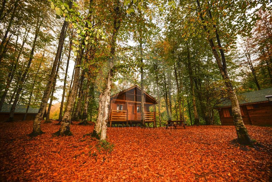 El lago turco Oulu Gul se transforma en el otoño