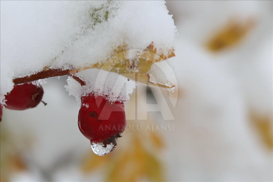 Karadeniz'de kar etkili oluyor