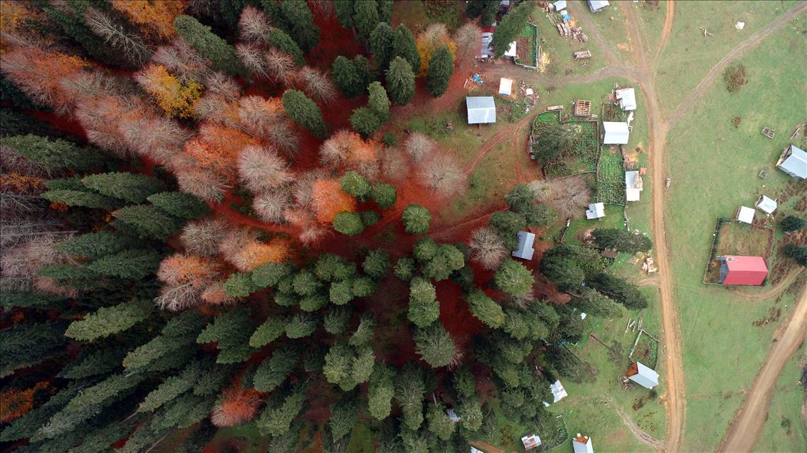 Batı Karadeniz yaylalarında "hüzünlü güz" vedası