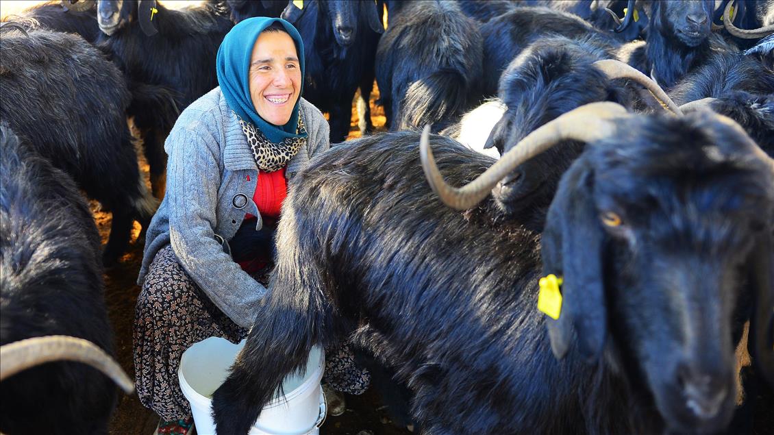 Karakeçili Yörüklerinin zorlu kış göçü