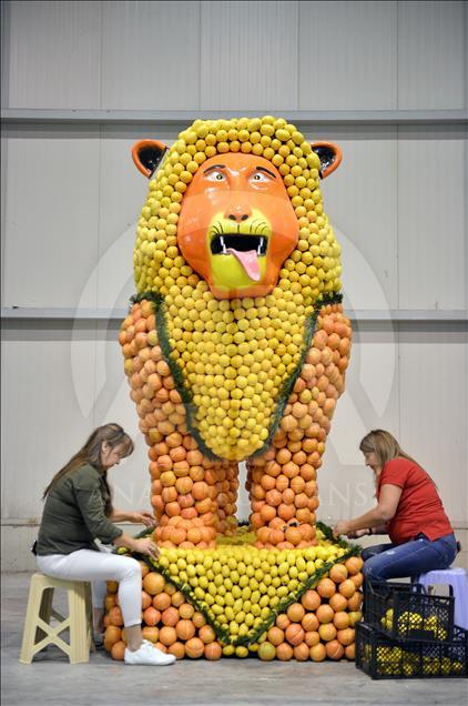 Ahead of 6th Citrus Festival in Mersin