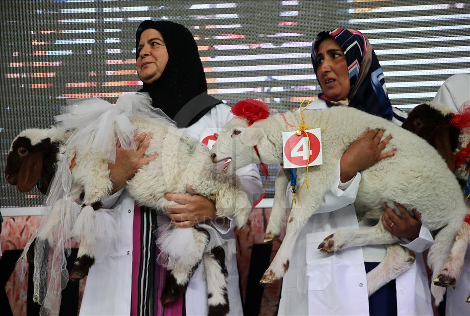 12. Adana Tarım Fuarı açıldı